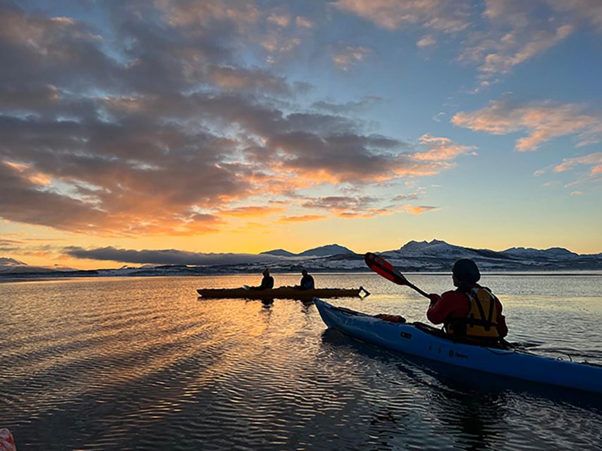 Tromsø: Winter Sea Kayaking Tour with Wildlife Sightings - From Tromsø center to the fjord