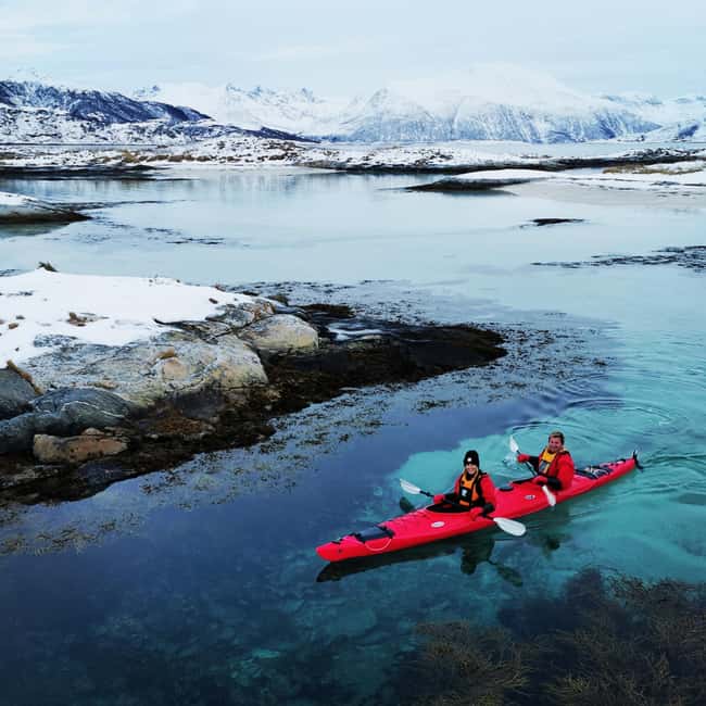 Tromsø: Winter Sea Kayaking Tour with Wildlife Sightings - Light, darkness, and winter timing