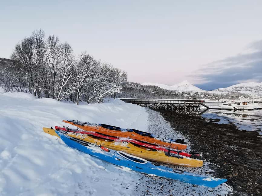 Tromsø: Winter Sea Kayaking Tour with Wildlife Sightings - The fire, hot drink, and welcome pause