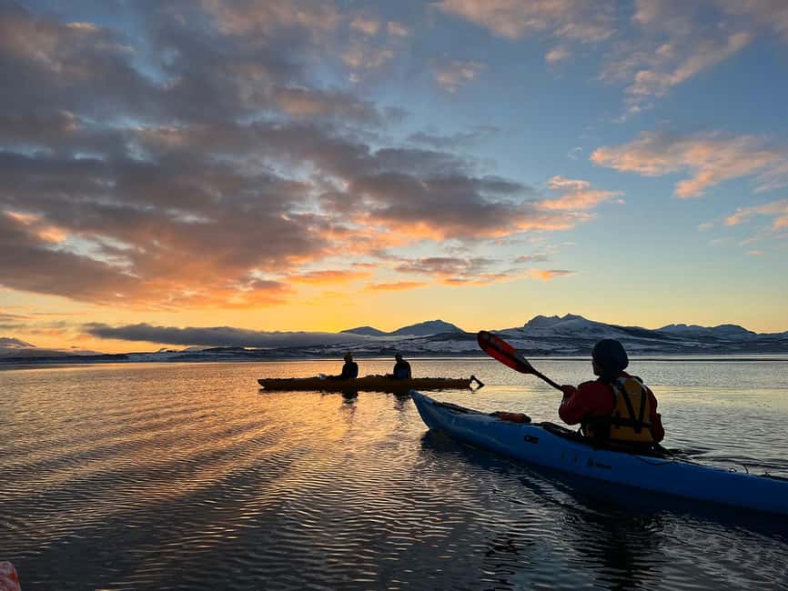 Tromsø: Winter Sea Kayaking Tour with Wildlife Sightings - Who should book this experience?