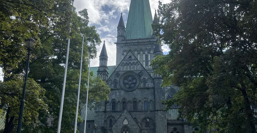 Trondheim: 2-hour City Walking Tour - Solsiden and the warehouses beside the Nid River