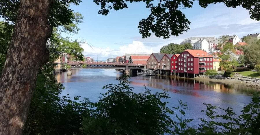 Trondheim : Explore the city of kings with a local guide - Who will get the most from this walk