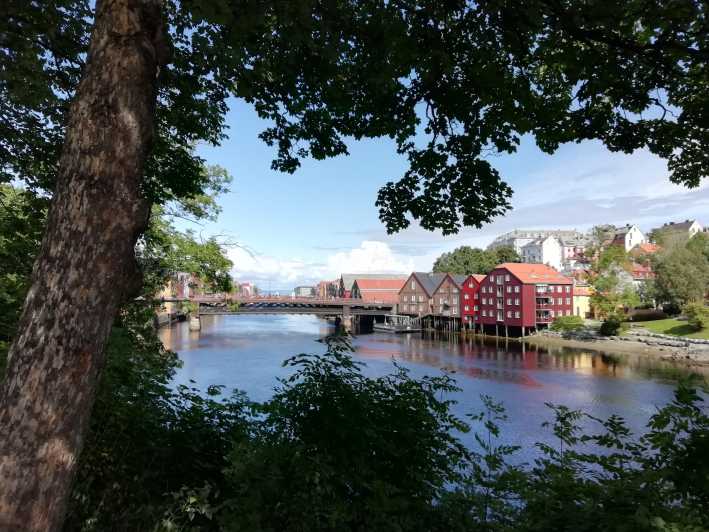Trondheim : Explore the city of kings with a local guide - Walking toward Nidaros Cathedral
