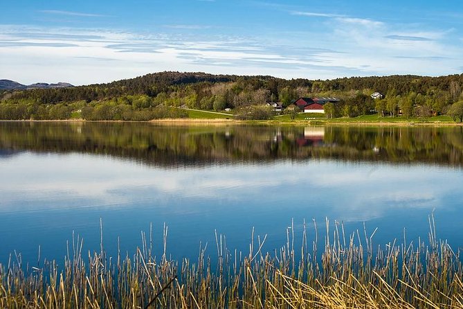 Trondheim Private Walking Tour with a Local - Seeing Trondheim’s center at a sensible pace