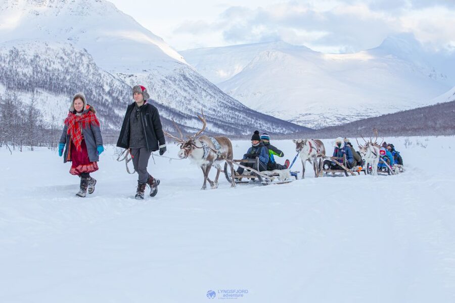 True Locals of the Arctic: Reindeer Sledding at Camp Tamok - Meeting the reindeer herd