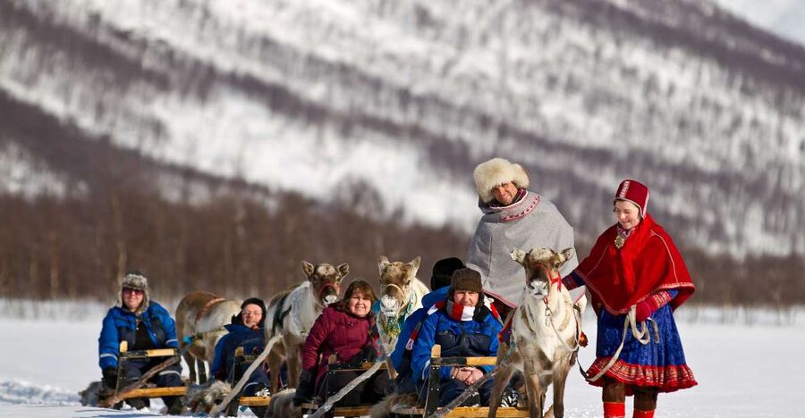 True Locals of the Arctic: Reindeer Sledding at Camp Tamok - Is $303 a fair price?