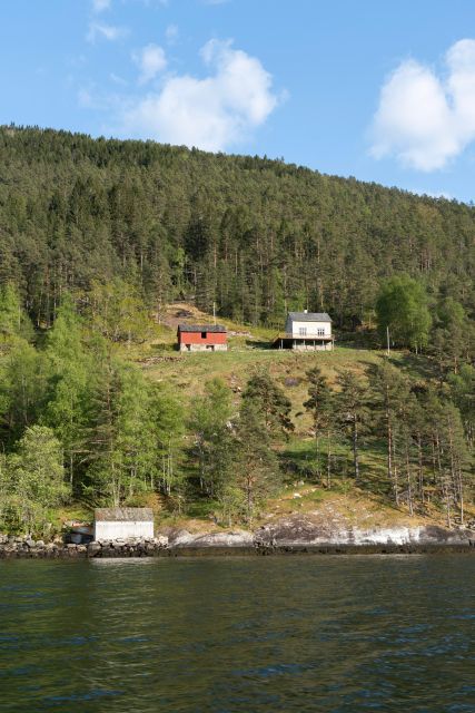 Ulvik adventure: Exploring Hardangerfjord's Osafjord by RIB - Practical strengths and small cautions