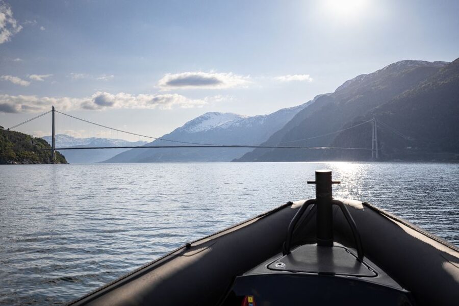Ulvik: Hardangerfjord Ultimate RIB Tour - Booking details and what to bring