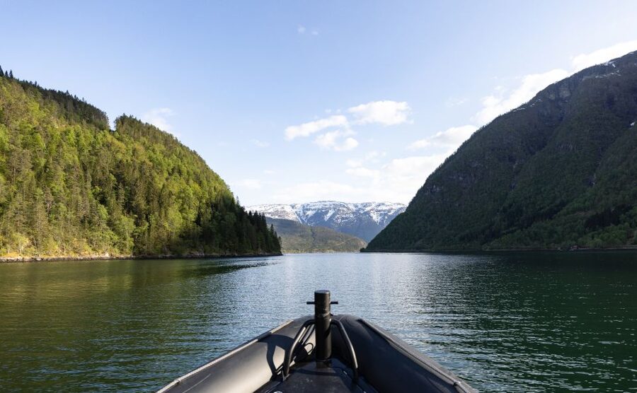 Ulvik: Hardangerfjord Ultimate RIB Tour - Is $141 good value?