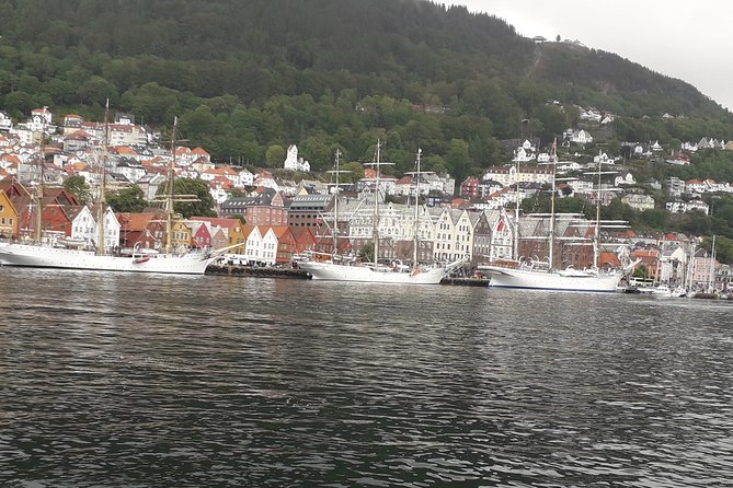 Walking tour: Medieval Spirit of Bergen + sweet Arctic gifts - Key points at a glance
