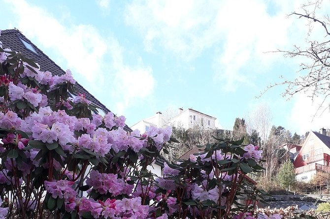 Walking tour: Medieval Spirit of Bergen + sweet Arctic gifts - What this Bergen walk is really designed to do