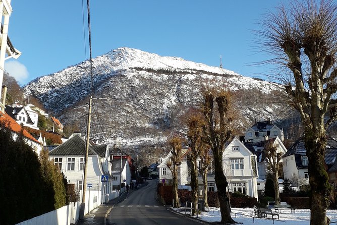 Walking tour: Medieval Spirit of Bergen + sweet Arctic gifts - Bryggen shows Bergen’s Hanseatic past