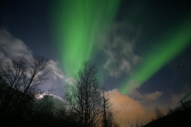 Watching The Aurora Dance - Who will enjoy this six-hour evening most