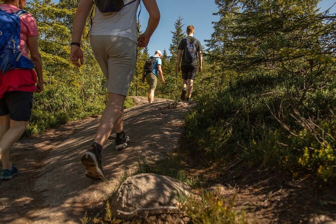 Wildlife Forest Hike - Key things to know before you book