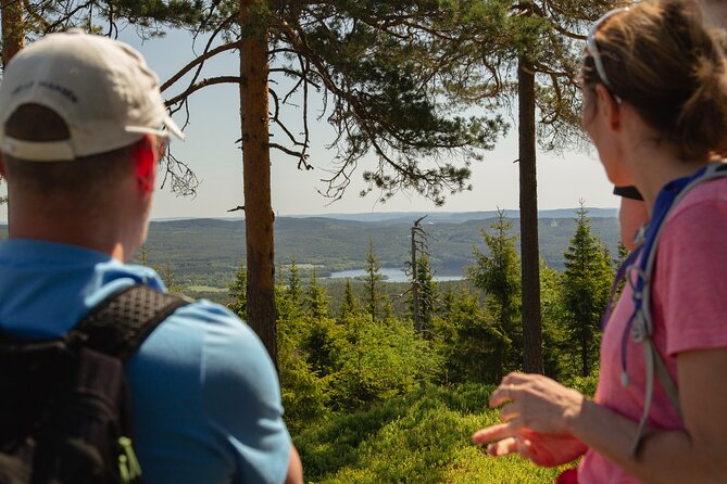 Wildlife Forest Hike - Starting in central Oslo and riding to Frognerseteren