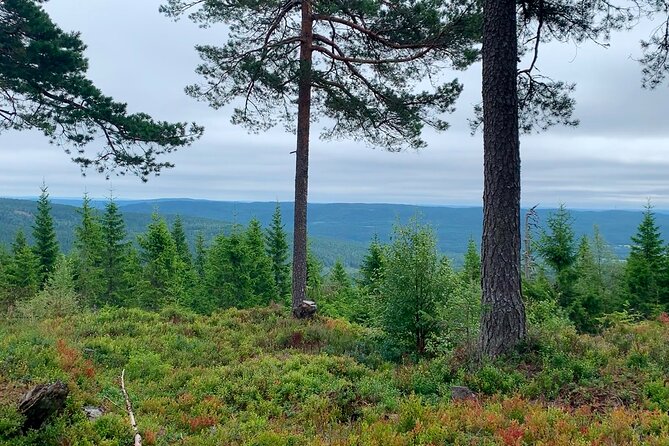Wildlife Forest Hike - How difficult is the 12-kilometer route?