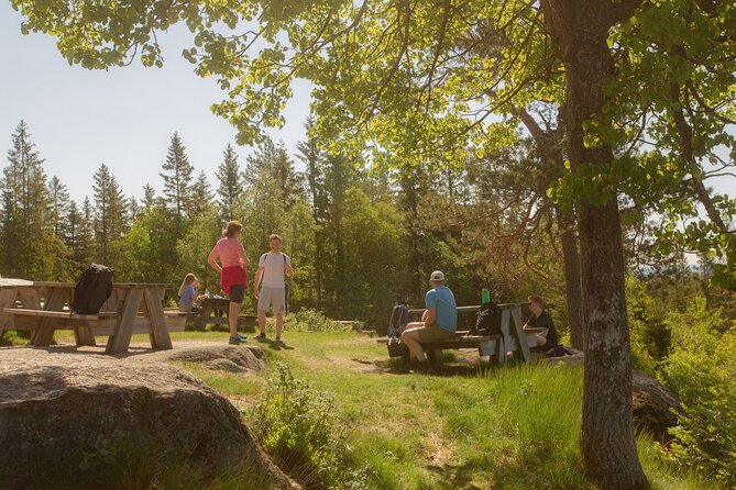 Wildlife Forest Hike - What the $65 price includes