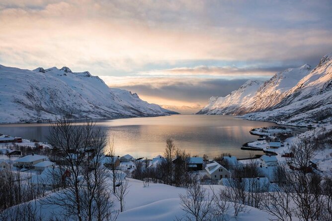 Winter Fjord Road Trip with Wandering Owl - Leaving Tromsø for Kvaløya