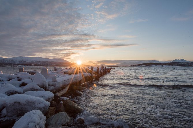 Winter Fjord Road Trip with Wandering Owl - Wildlife sightings are possible, not promised