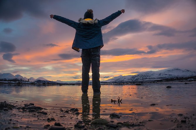 Winter Fjord Road Trip with Wandering Owl - The guide can shape the whole experience