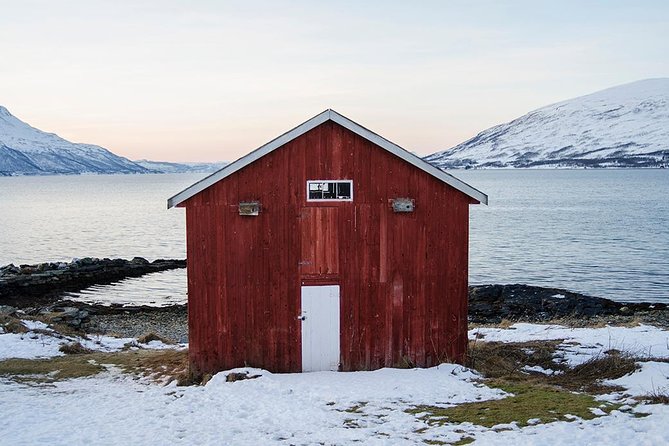 Winter Fjord Road Trip with Wandering Owl - Ersfjordbotn and the changing Arctic light