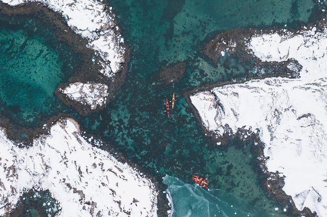 Winter Half Day Kayak Tour - Paddling along Lofoten’s frozen coastline