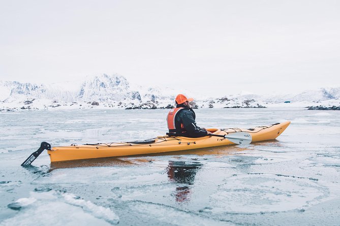 Winter Half Day Kayak Tour - Is $118.45 a fair price?
