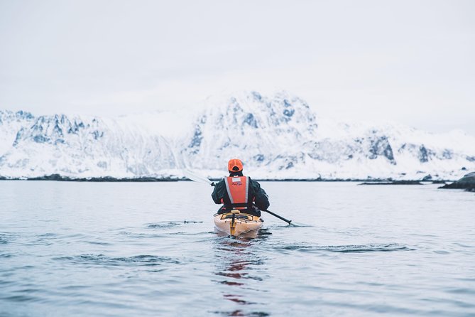 Winter Half Day Kayak Tour - Who will enjoy this Eggum kayak tour most?